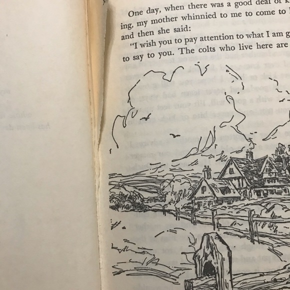 Vintage set of 3 books Horse Lovers Decor - Picture 4 of 10